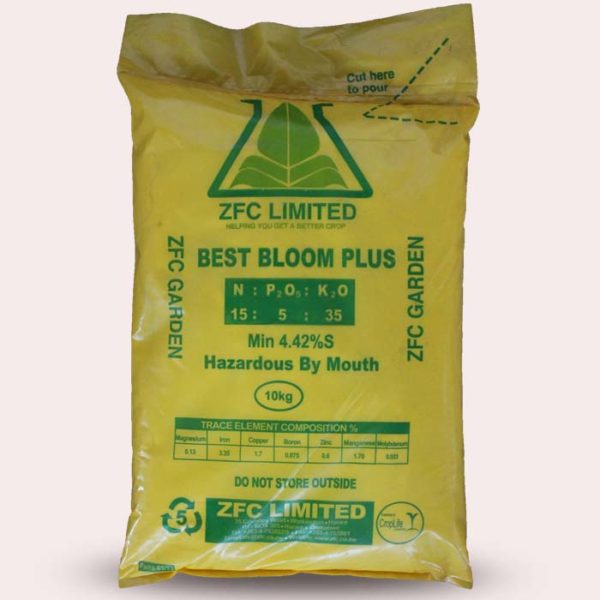 best bloom plus 10kg